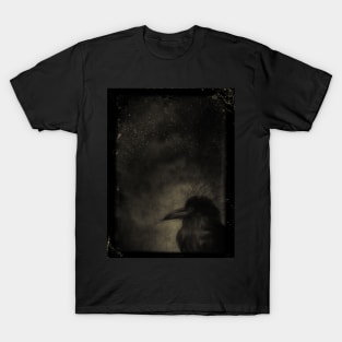 Raven Night Sky T-Shirt